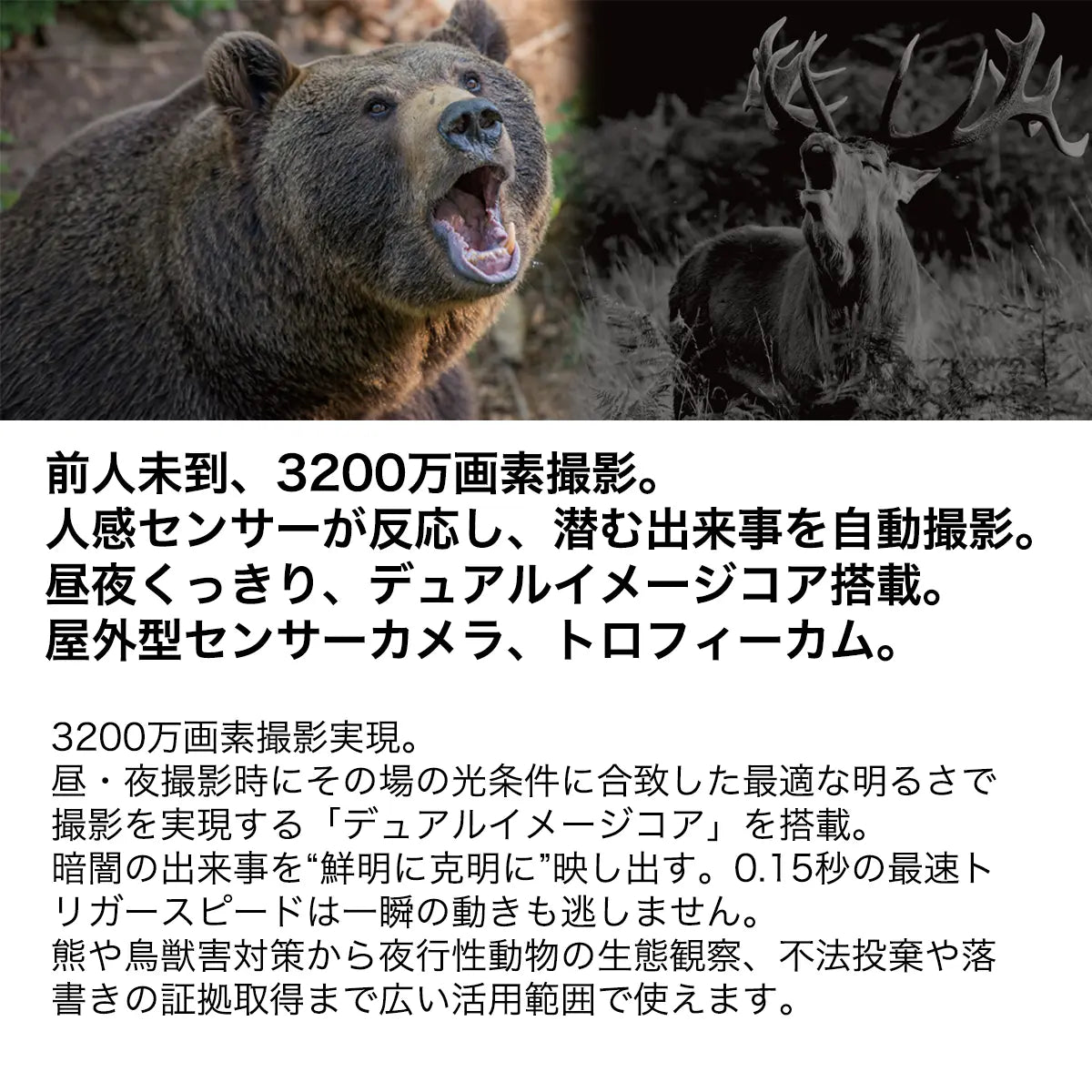 【熊・害獣の監視】屋外型センサーカメラ トロフィーカムXLT
