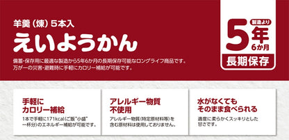 えいようかん 5年6か月の長期保存・カロリー補給・アレルギー物質不使用