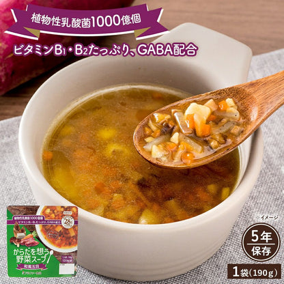 からだを想う野菜スープ 和風五目