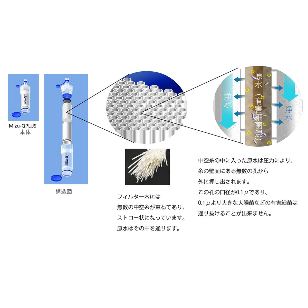 携帯型浄水器 mizu-Q PLUS 中空糸膜フィルターの構造
