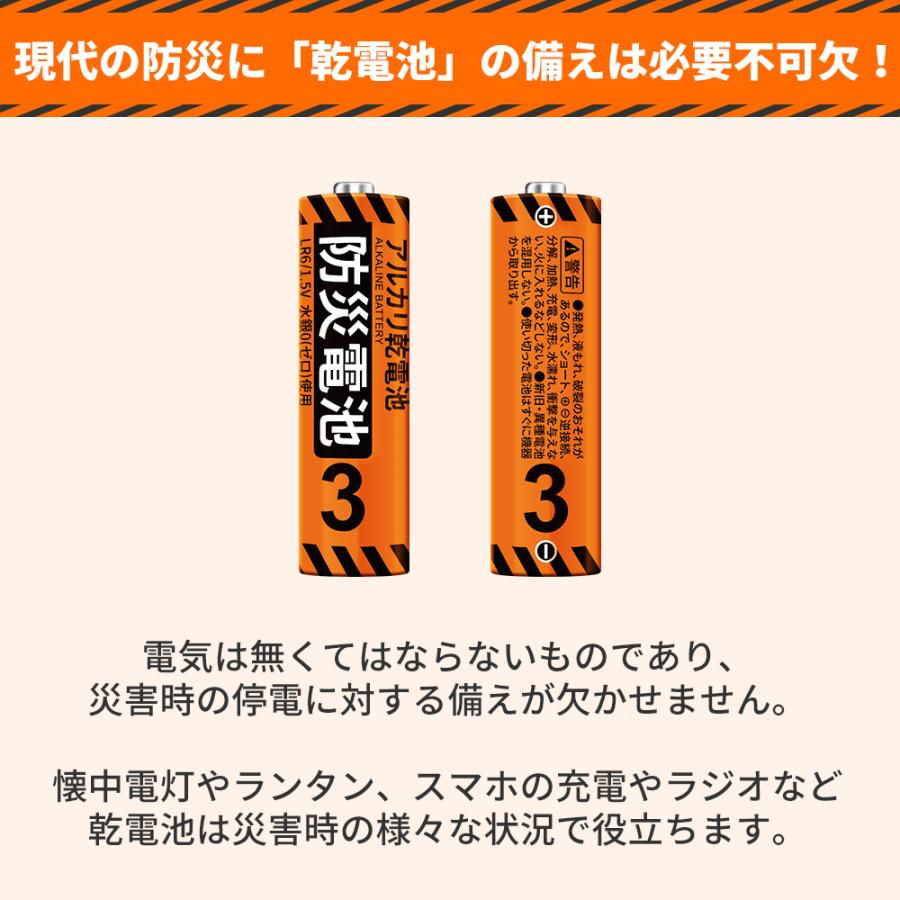 RABLISS 防災電池 単3形 20本入