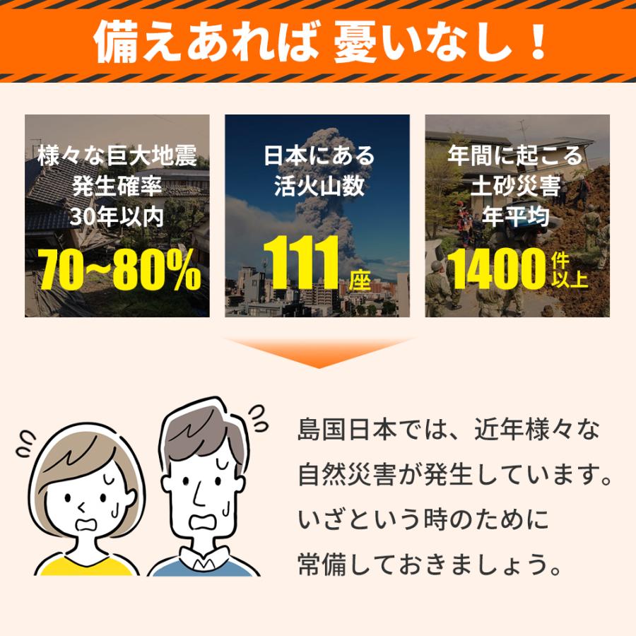 RABLISS 防災電池 単3形 20本入