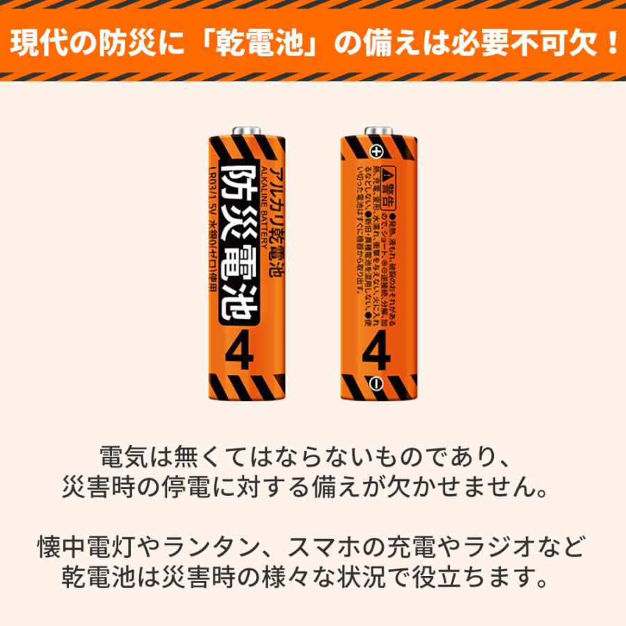 RABLISS 防災電池 単4形 20本入