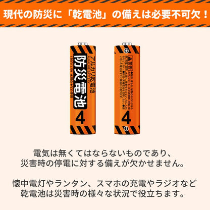RABLISS 防災電池 単4形 20本入