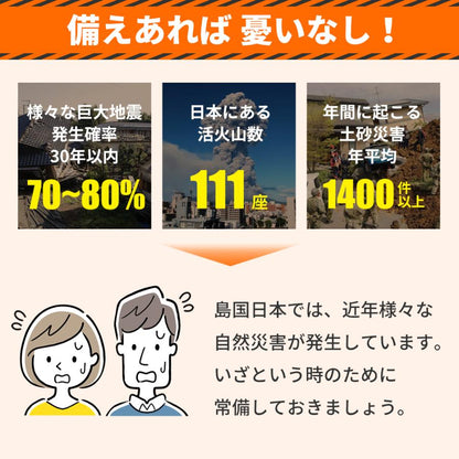 RABLISS 防災電池 単4形 20本入