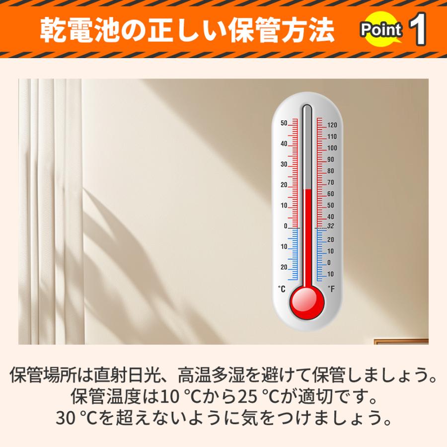RABLISS 防災電池 単4形 20本入